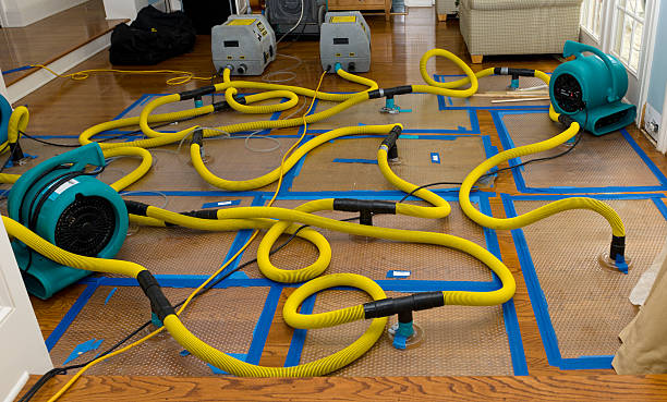 Professional Crawl Space Water Removal technician working in Wolcott, IN